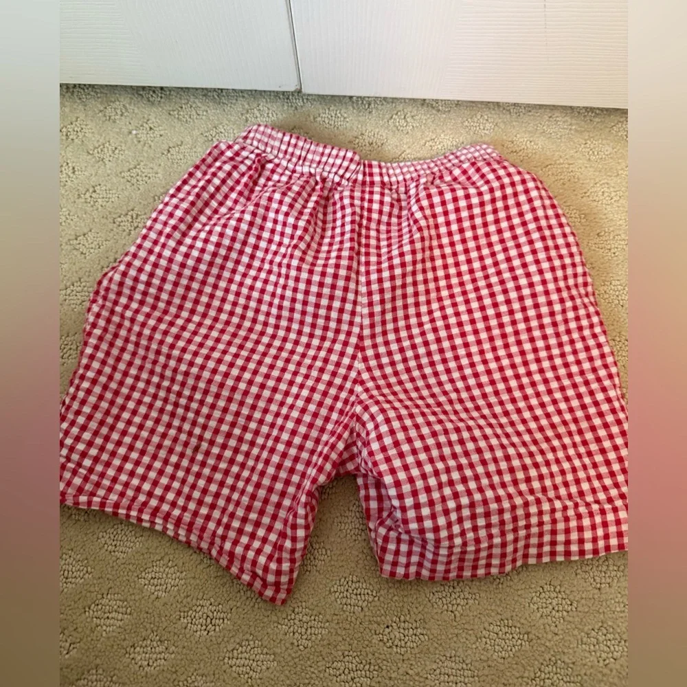 The Bailey Boy’s Red Gingham Boy’s Shorts